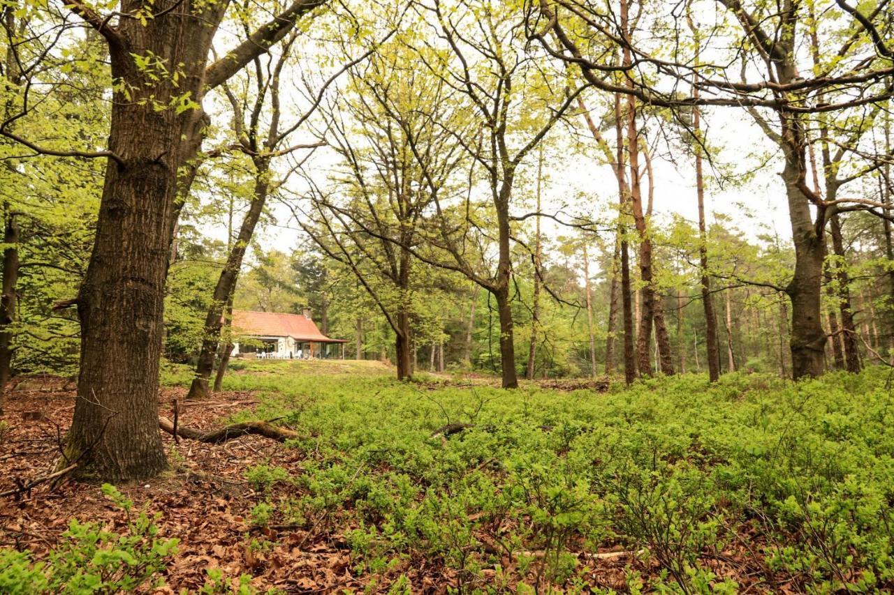 Vakantiehuis De Weeser Enk Epe Exteriér fotografie